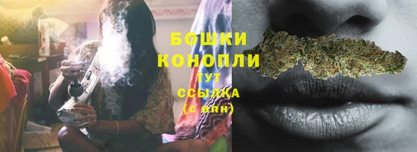 соль ск Бронницы