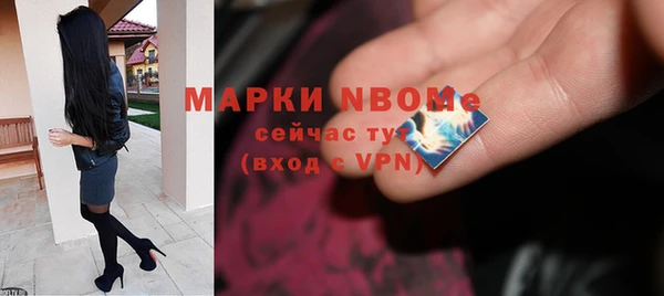 метадон Богданович