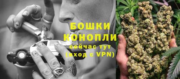 наркотики Бородино