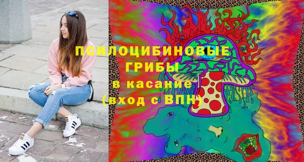 соль ск Бронницы