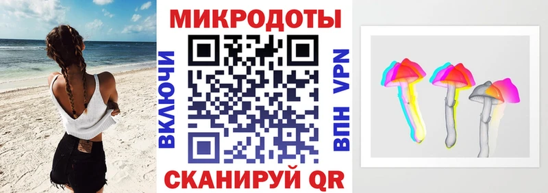 Псилоцибиновые грибы Psilocybe Нерехта