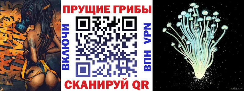 продажа наркотиков  Нерехта  Псилоцибиновые грибы мухоморы 